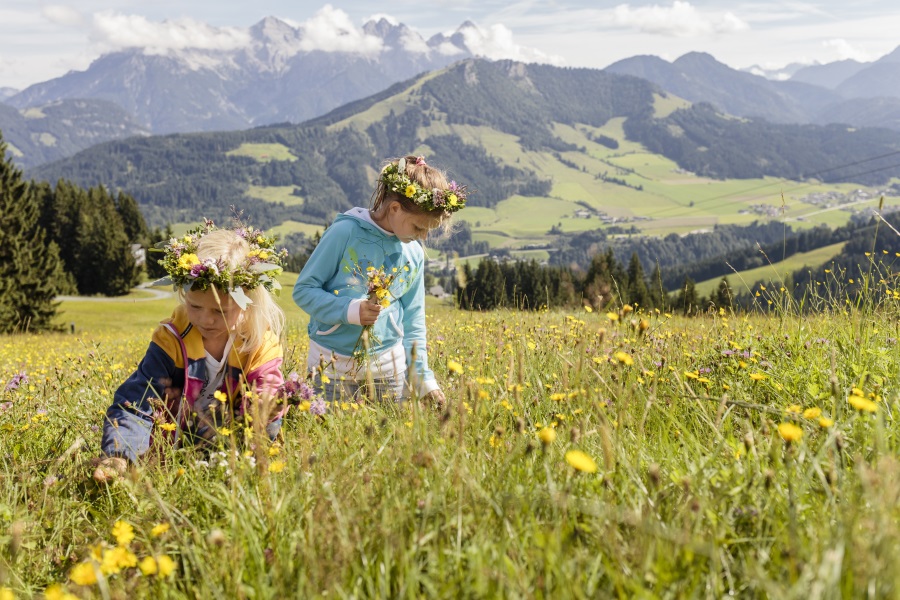 Kinder beim Blumen pflücken im PillerseeTal